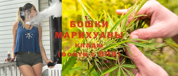 крисы Арсеньев