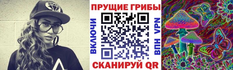 Купить где  Сочи  Галлюциногенные грибы мухоморы 